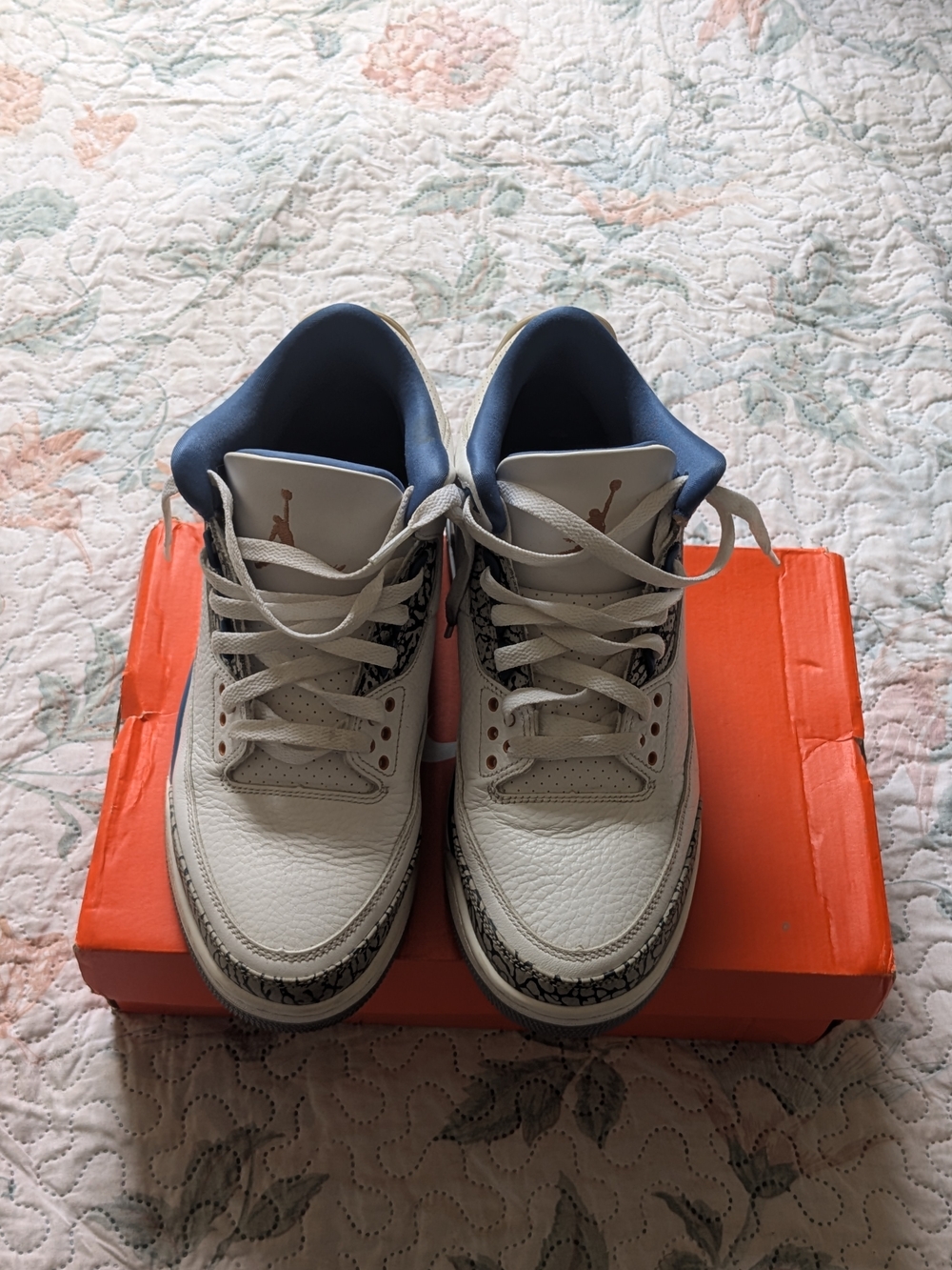 Jordan 3 Wizards